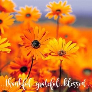 Meet your Posher, Audrey